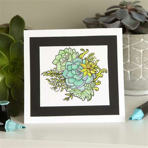 Alcohol Marker Succulent Card - Shades of Green