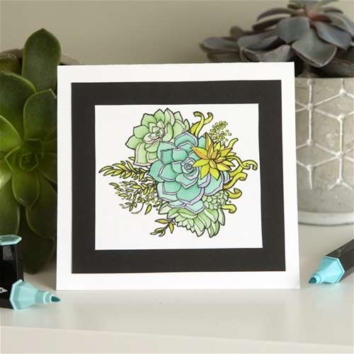 Alcohol Marker Succulent Card - Shades of Green