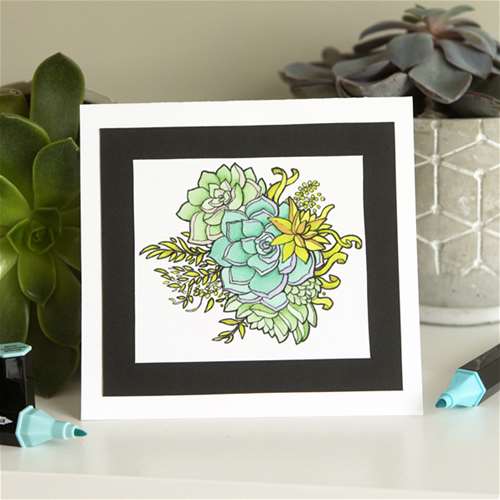 Alcohol Marker Succulent Card: Shades of Green