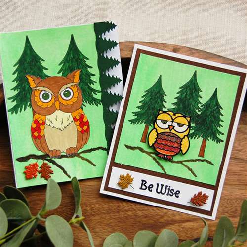 An Owlsome Card Duo