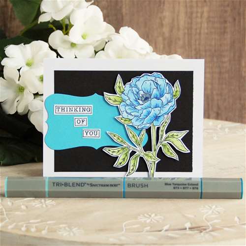 Alcohol Marker Coloring How-To: Floral Card