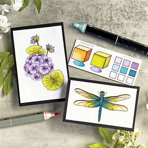 Alcohol Markers: Color, Blend &amp; Shade