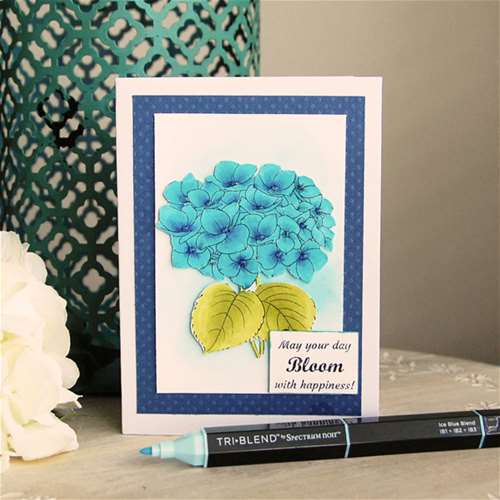 Coloring with Alcohol Markers: Blue Hydrangeas