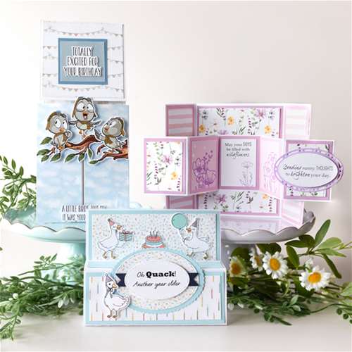 Surprise Inside! Pop Outs, Sliders &amp; Fold-Out Fun