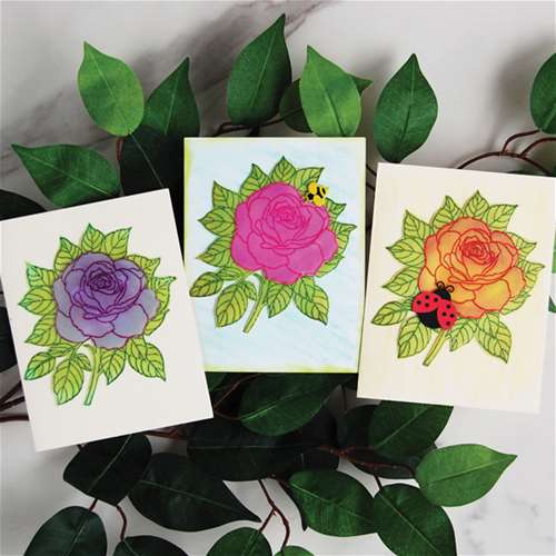 Vellum Roses