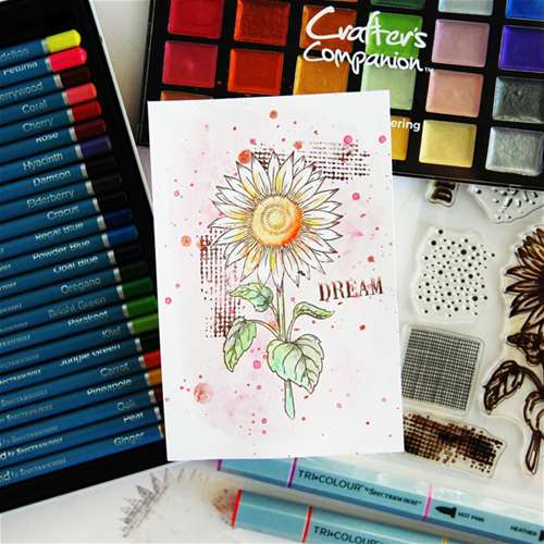 Watercolor 3 Ways: Paint, Pencil, Marker